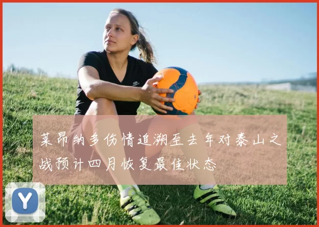 莱昂纳多伤情追溯至去年对泰山之战预计四月恢复最佳状态