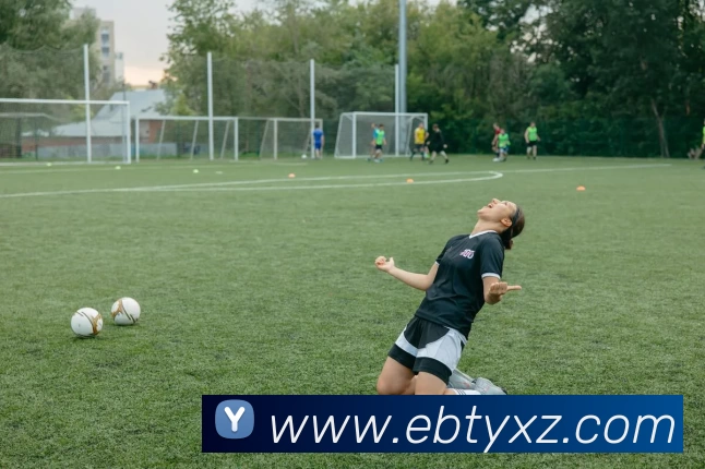 易倍体育App平台生态图