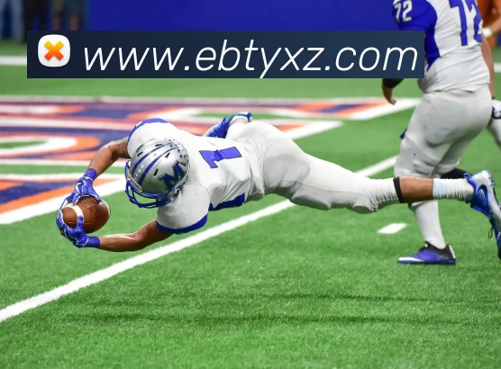 易倍体育AppAPP 封面图